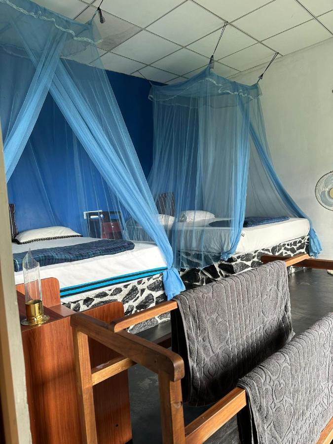 Viewpoint Koka Apartman Ella Kültér fotó