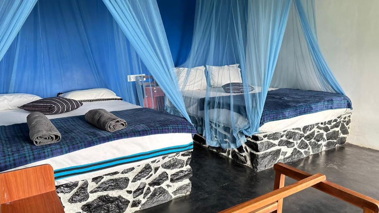 Viewpoint Koka Apartman Ella Kültér fotó